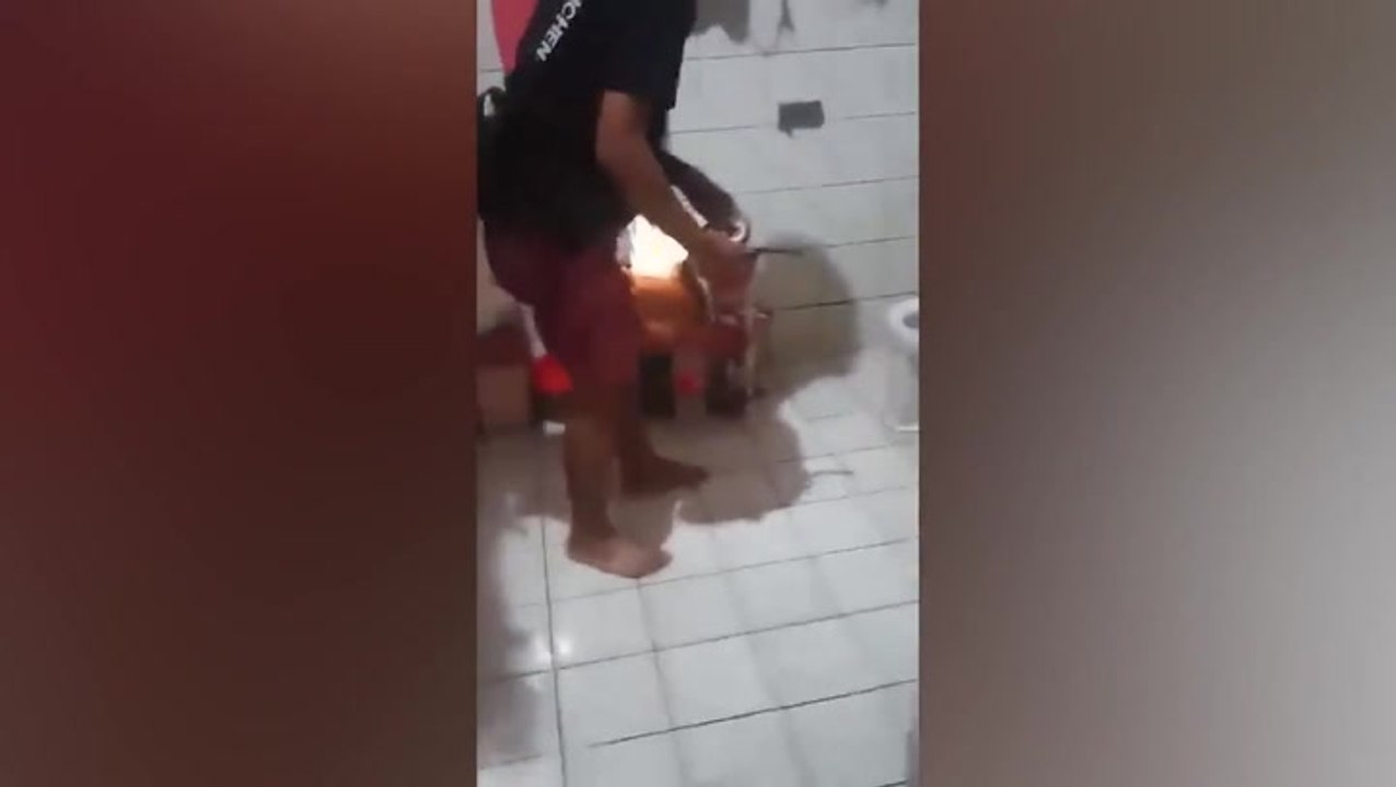 Fearless man removes snake with bare hands after finding it slithering in bathroom