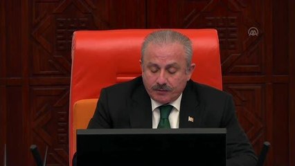 MHP'li Aksu: "Milletimiz, Cumhuriyet'imizin 100. yılında terör belasından tamamen kurtulacak"