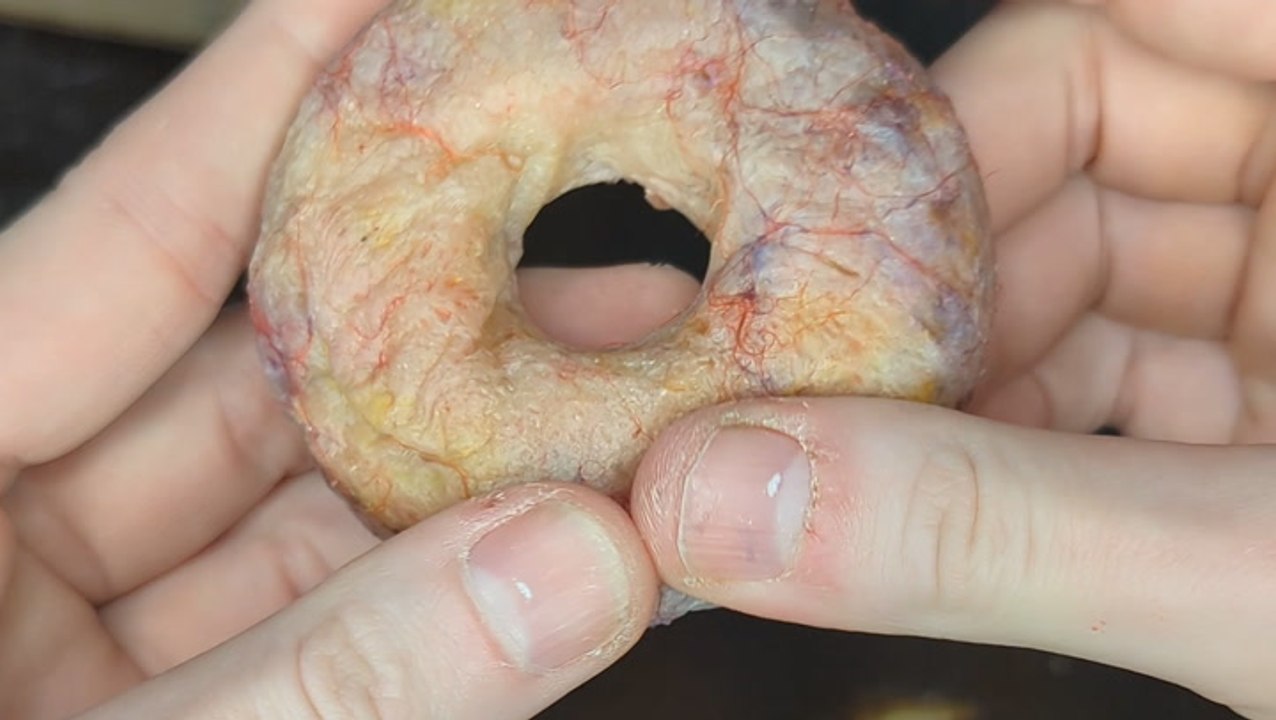 Creepy Fleshlike Art