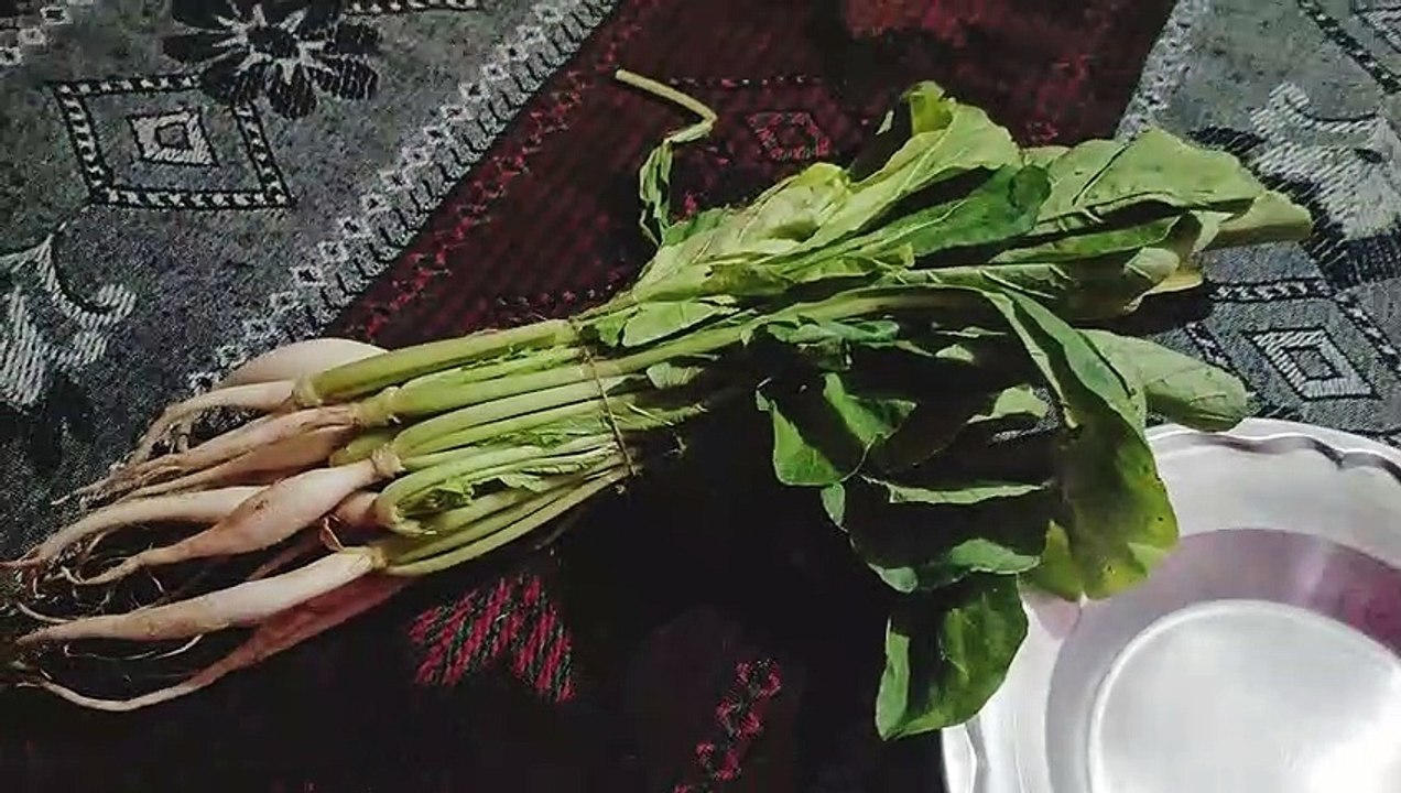 short vlog || mini vlog || kya banaya khane me aaj || vlogs #vlog #short #viralvideos #shamshakhan