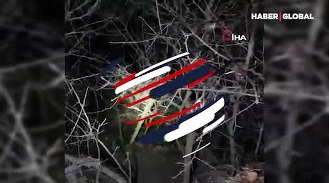 Bolu'da, tasmasını ağaca kaptırıp dere kenarında mahsur kalan köpeğin imdadına itfaiye yetişti!