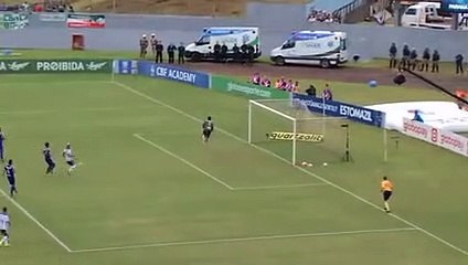 Série A melhores momentos de Paraná 1 x 1 Palmeiras