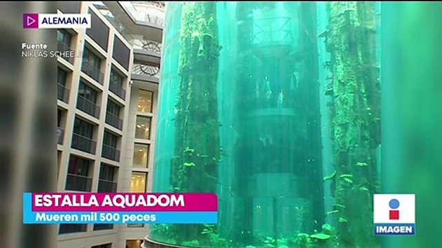 Estalla AquaDom, el acuario cilíndrico más grande del mundo