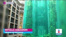 Estalla AquaDom, el acuario cilíndrico más grande del mundo