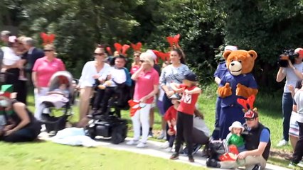 Former RFS commissioner Shane Fitzsimmons made redundant from Resilience NSW