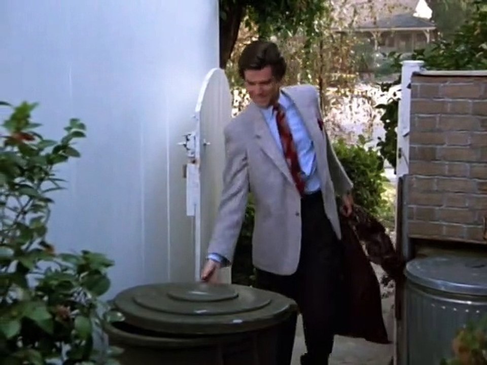 Remington Steele Staffel 4 Folge 13
