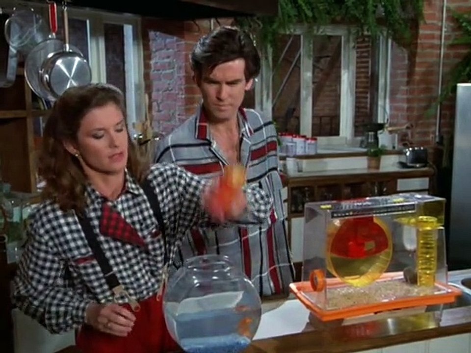 Remington Steele Staffel 4 Folge 21