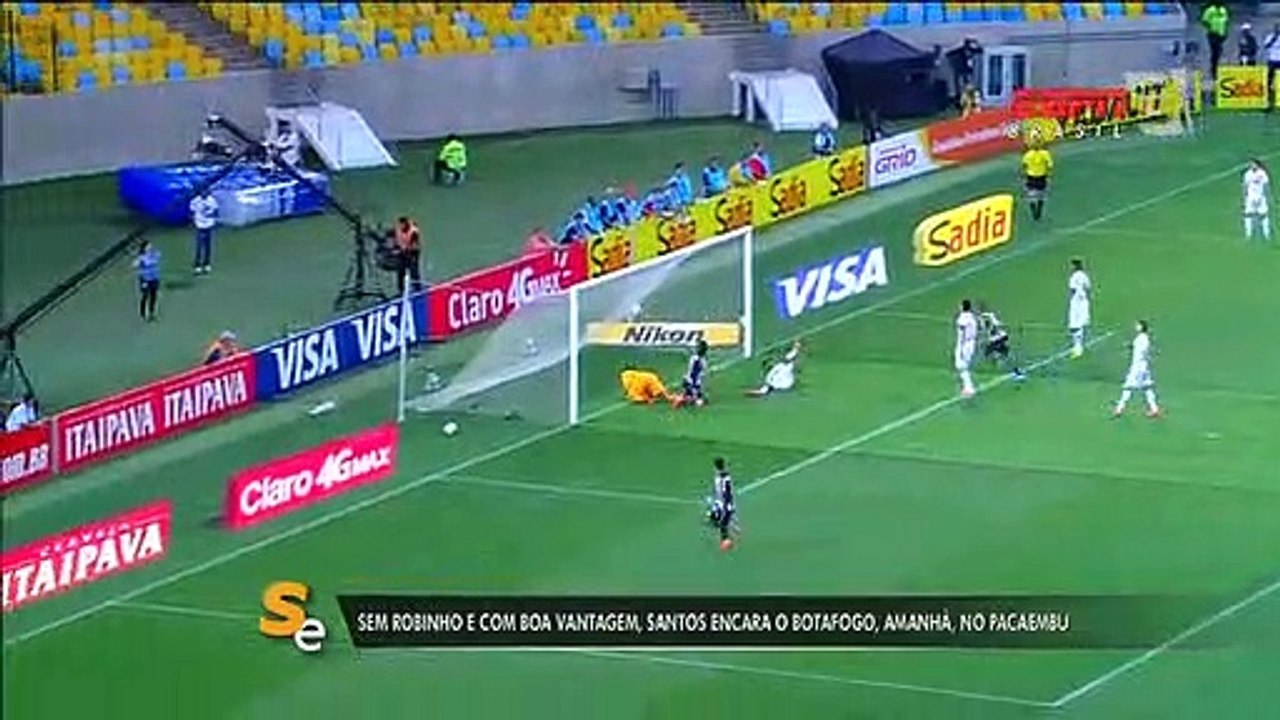 Zagueiro-artilheiro minimiza problemas do Botafogo