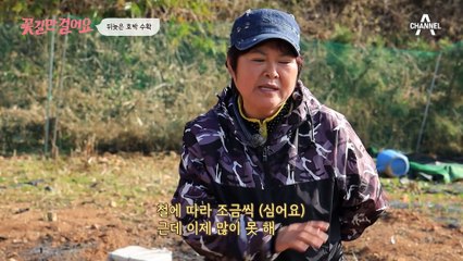 ^웰컴 투 유진 하우스^ 유진씨가 혼자 운영하는 민박집