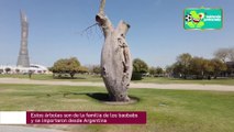 Crónicas de Qatar: ¿Cómo llegaron los baobabs hasta Doha?