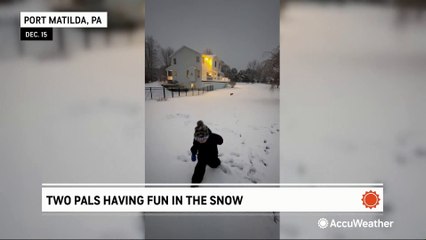 Toddler and dog enjoy a snow day in Pennsylvania