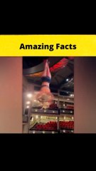 top-3-airplane-stories-mrindianhacker-crazyxyz-shorts-factbeast-ytshorts.savetube.me