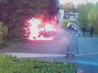 mon poto senk blb dtm team