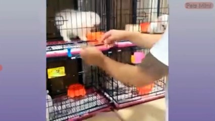 az_recorder_20221216_145128