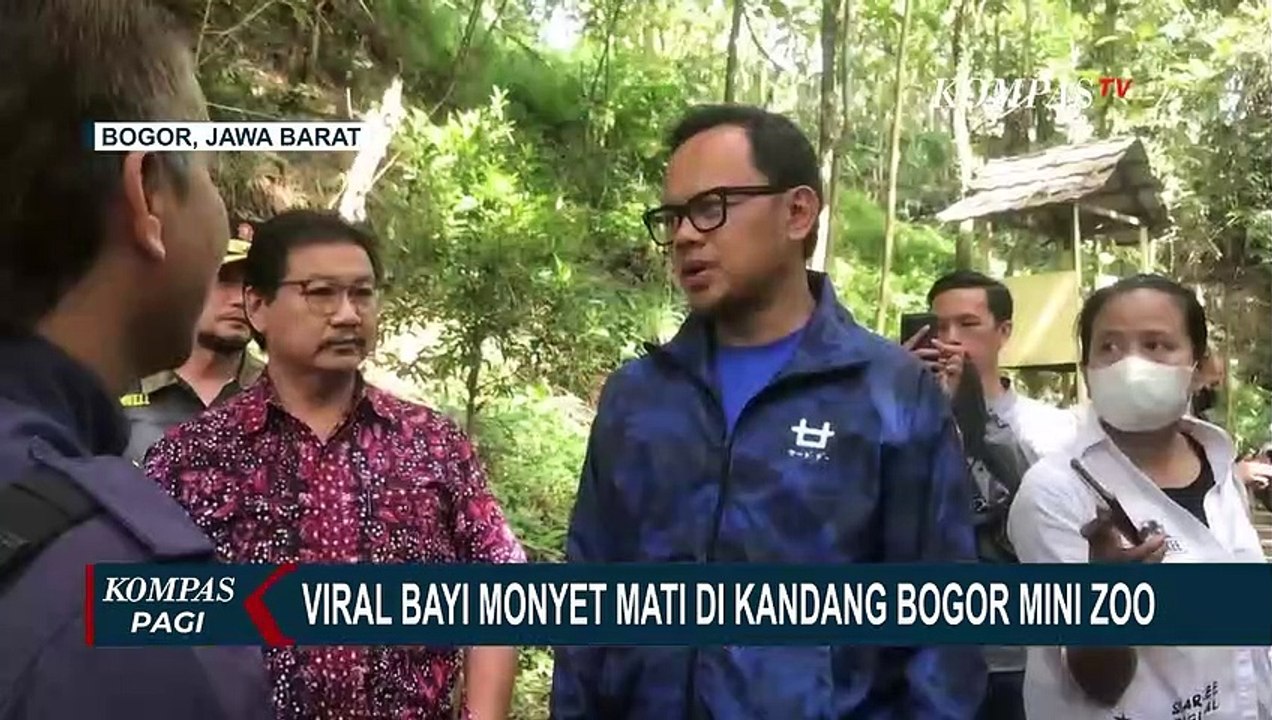 Bima Arya Cek Kondisi Monyet Viral di Bogor Mini Zoo: Hanya Sisa Makanan yang Tersisa
