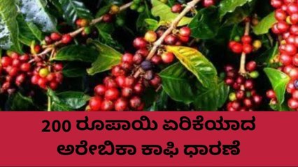 ಕೊಡಗು: ಬೆಳೆಗಾರರಲ್ಲಿ ಭರವಸೆ ಮೂಡಿಸದ ಕಾಫಿ ಧಾರಣೆ; ಇಂದಿನ ದರ?