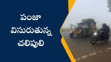 తూర్పు గోదావరి: జిల్లాలో చలిపులి ఎఫెక్ట్ ... ఆసుపత్రుల పాలవుతున్న జనం