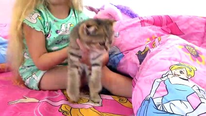 Diana and her Quarantine Morning Routine with Kitten