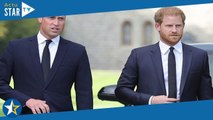 Harry et Meghan sur Netflix : Révélations choc sur le prince William 