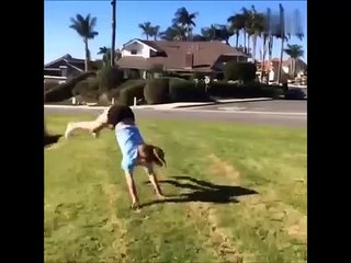 Just Enjoy: Funny clips compilation