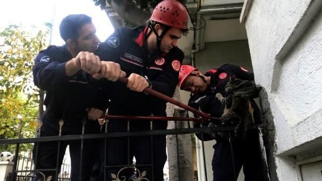 AVCILAR'DA BACAĞINA BAHÇE DEMİRİ SAPLANAN KEDİYİ İTFAİYE KURTARDI