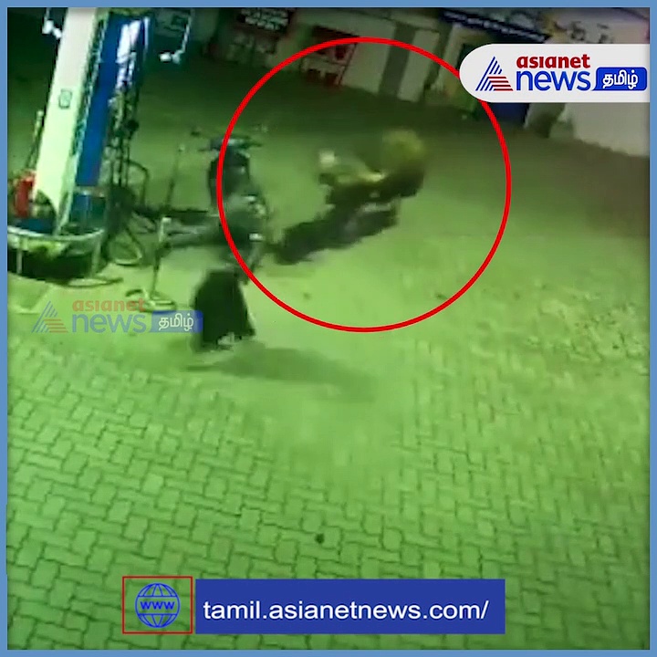 Watch : ஆக்ரோஷத்துடன் பங்கிற்குள் புகுந்த காட்டெருமை! தப்பிஓடிய ஊழியர்கள்!