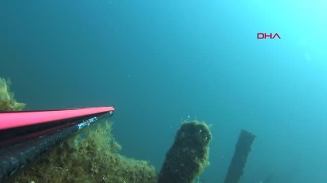 REKORTMEN DALGIÇ 52 YILLIK KURU YÜK GEMİSİ BATIĞINDA 20 KİLOLUK AKYA AVLADI