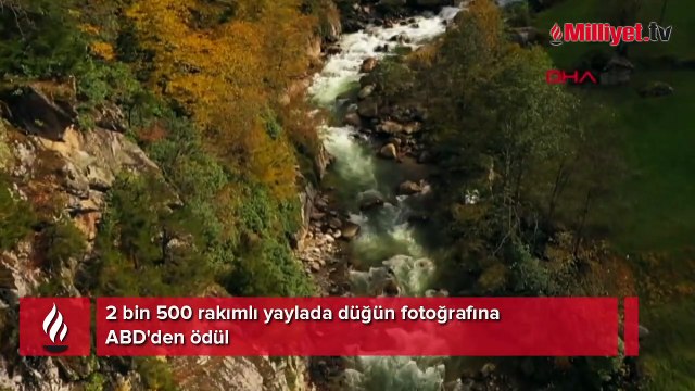2 bin 500 rakımlı yaylada düğün fotoğrafına ABD'den ödül