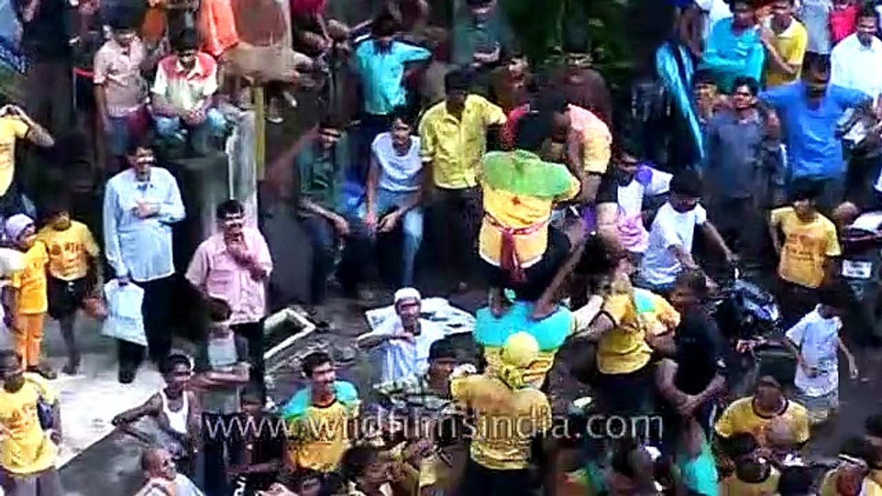 Dahi handi celebration in Maharashtra
