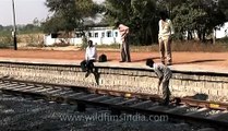 Installing and repairing Indian railway track at a small railway station in India