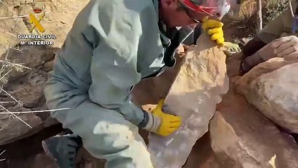 Tải video: La Guardia Civil rescata a una perra tras cinco días atrapada en una cueva