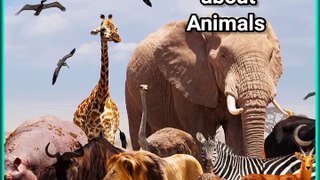Amazing facts about Animals #viral #shorts #reels