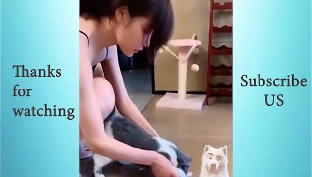 Adorable Cute Pets And Funny Animals Compilation #16 Animals Cute and Funny