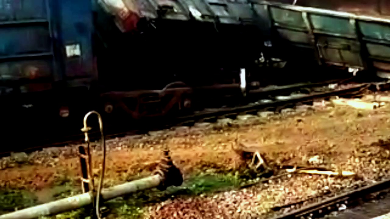 मुरादाबाद में पटरी से उतरे मालगाड़ी के 2 डिब्बे, घंटों बाधित रहा ट्रेनों का संचालन