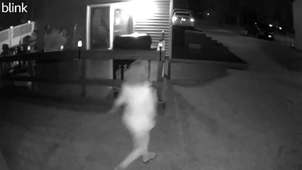 Woman Stumbles Searching for Dog in the Dark