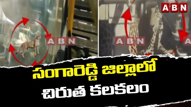 సంగారెడ్డి జిల్లాలో చిరుత కలకలం || Cheetah In Hetero Labs || ABN Telugu