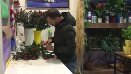 ZONGULDAK - Yılbaşının simgelerinden kokina çiçek tezgahlarını süslüyor