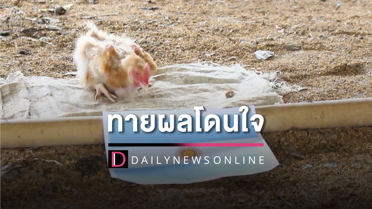 ‘เจ้าโต้ง’ ทายผลโดนใจ ‘อาร์เจนตินา’ คว้าแชมป์ | HOTSHOT เดลินิวส์ 17/12/65