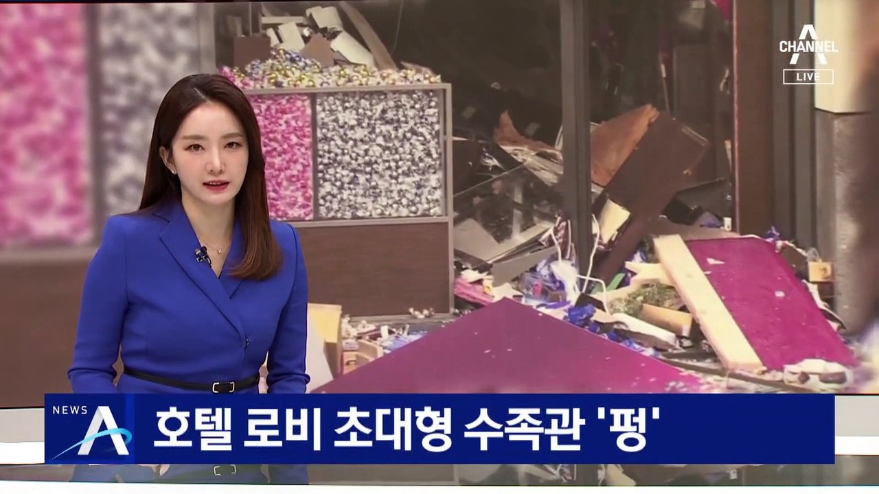 베를린 호텔 로비 초대형 수족관 ‘펑’…투숙객 350여 명 대피