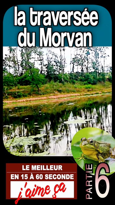 6 - les anes de STEPHANE à LORMES - traversée du MORVAN en BOURGOGNE