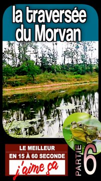 6 - les anes de STEPHANE à LORMES - traversée du MORVAN en BOURGOGNE