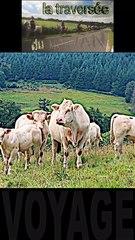 10 - petites routes panoramiques sur les sommets - traversée du MORVAN en BOURGOGNE
