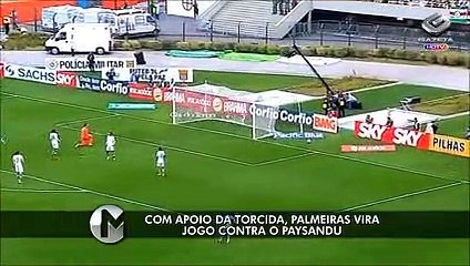 Assista aos melhores momentos de Palmeiras e Paysansu