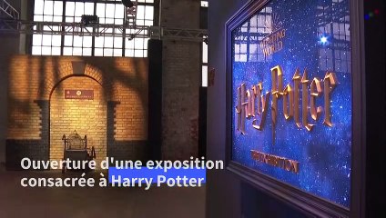 Autriche: l'exposition Harry Potter ouvre au public à Vienne