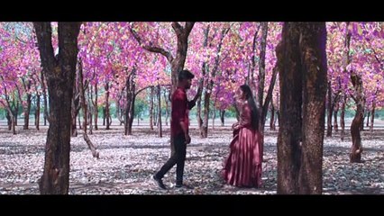 Mor Karounda _ मोर करौंदा _ New CG Song _ Narendra & Gittu  _ Anita, Shailu, Himendra & Yogendra