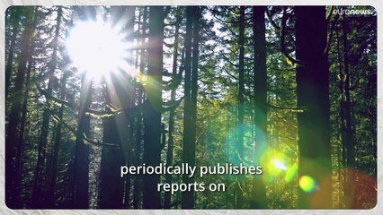 Your Good News round-up: swear words can make you more resistant to pain, and more…