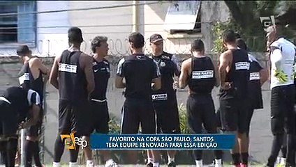 Meninos da Vila se preparam para buscar 5º título da Copinha