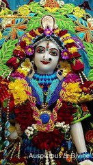 This 49 seconds darshan video can make your life amazing, just watch till end & stay blessed, special for you & your family #darshan #iskcon #video