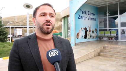 Van'daki sahipsiz hayvanlar belediye barınağında hayata tutunuyor