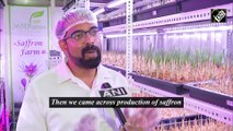 Pune engineer cultivates saffron in mobile containers